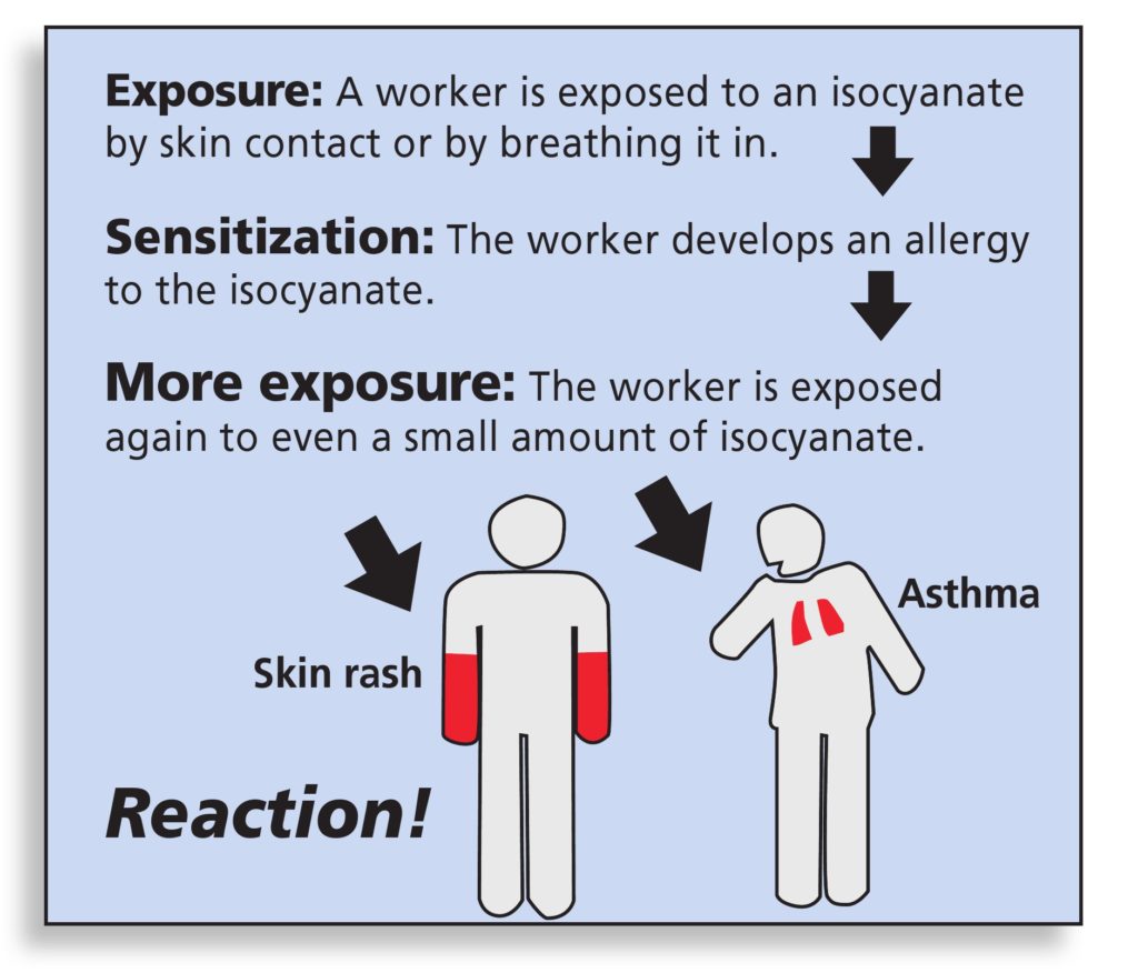 This California Department of Public Health graphic shows how painters can develop an allergy ("sensitization") to isocyanates. (Provided by California Department of Public Health)