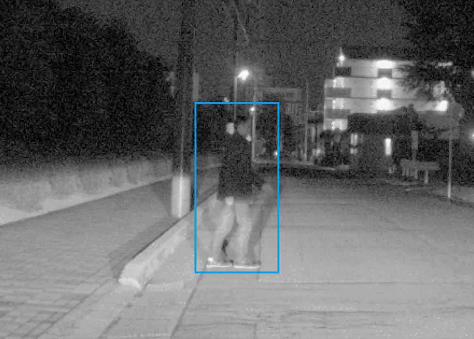 night sensor camera